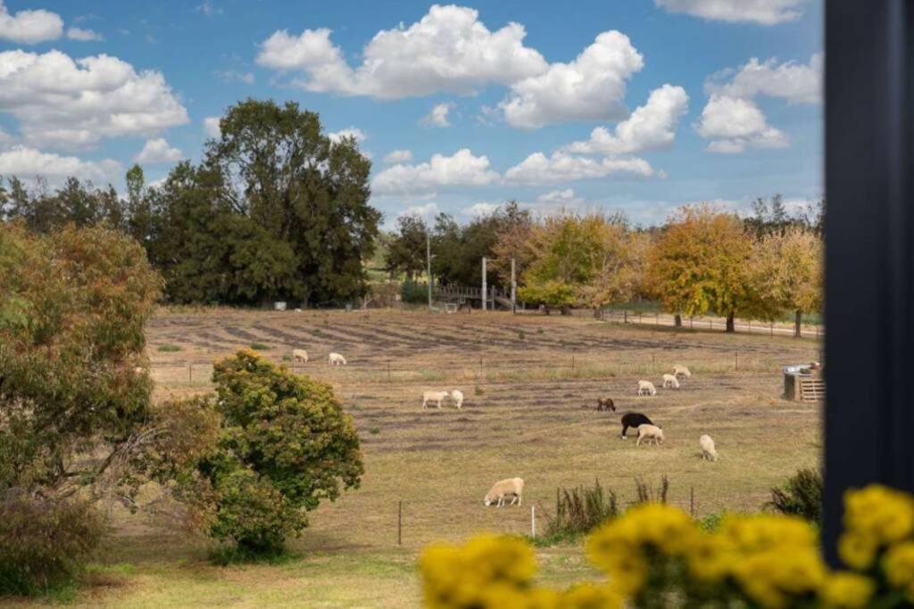 Вилла Heart Of Canowindra - Heritage Escape With A View Экстерьер фото